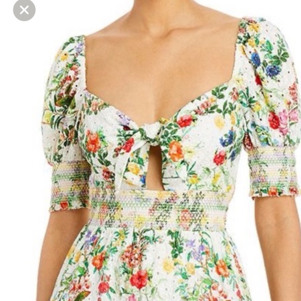 Alice and Olivia Kristie Floral Mini Dress - Picture 2 of 7